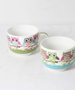 Deux grands bols  » Chouettes »